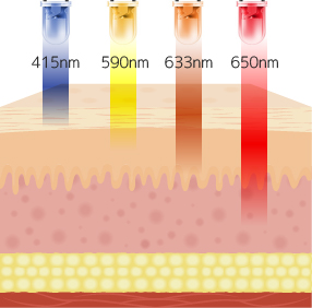 LED の異なる波長の照射イメージ